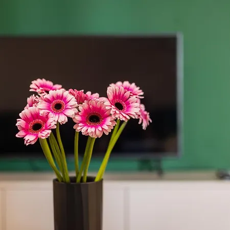 Appartement Miedzy Wawelem A Rynkiem